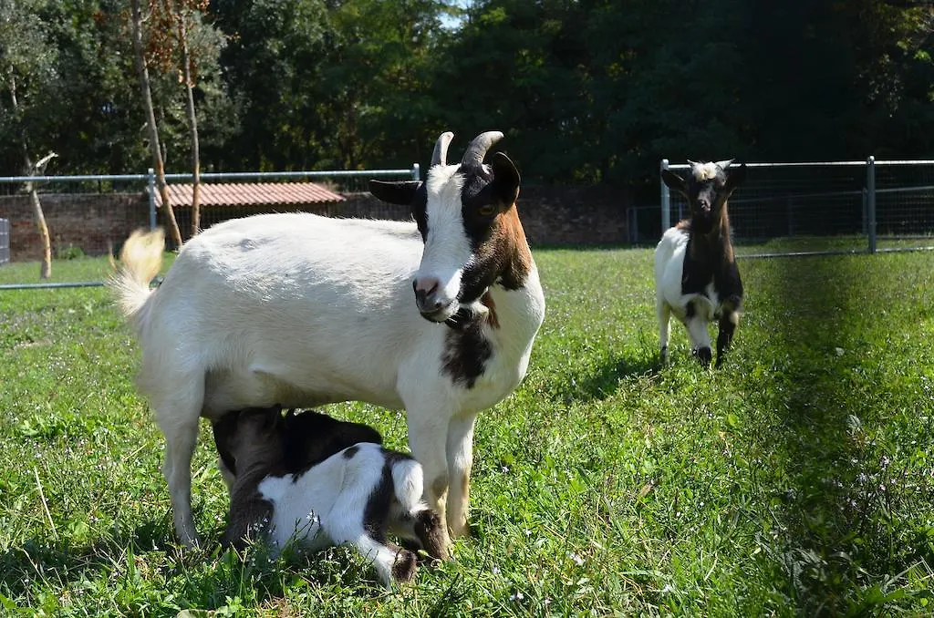 Agriturismo La Fraccina Villa Spino d'Adda Farm stay
